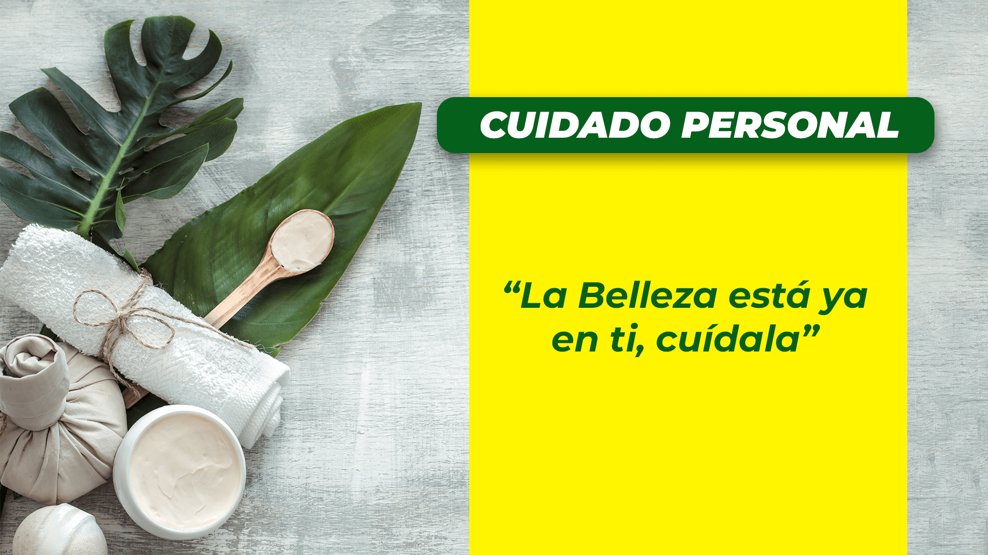 PLANTAS MV-min