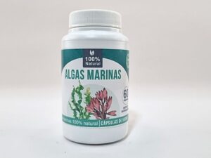 algas marinas